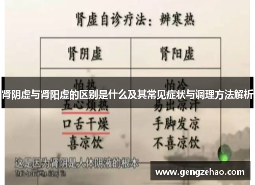 肾阴虚与肾阳虚的区别是什么及其常见症状与调理方法解析